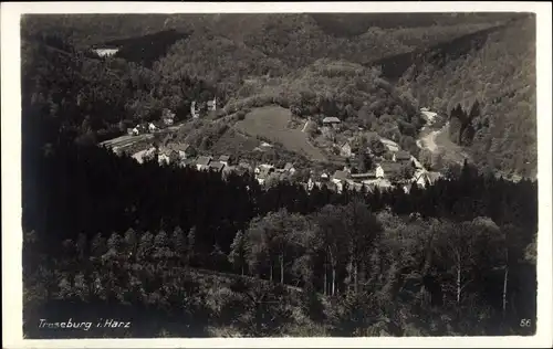 Ak Treseburg Thale im Harz, Blick aus der Ferne auf den Ort