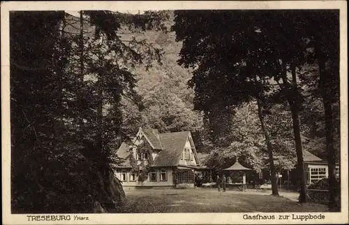 Ak Treseburg Thale im Harz, Gasthaus zur Luppbode, Außenansicht