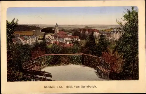 Ak Nossen in Sachsen, Blick vom Steinbusch, Panorama mit Kirchturm