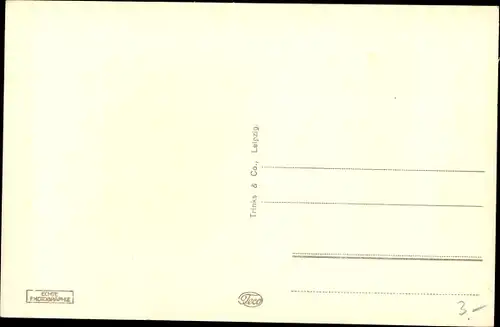 Ak Borna in Sachsen, Markt, Patrizierhäuser, Reichsstraße, Passanten