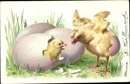 Präge Litho Glückwunsch Ostern, Küken, Eier