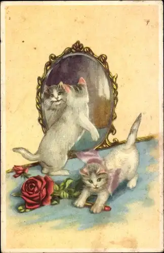 Ak Zwei kleine Katzen, Spiegel, Rose