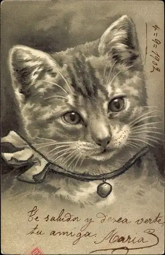 Präge Litho Katzenportrait, Katze mit Glocke um den Hals, Glitzer