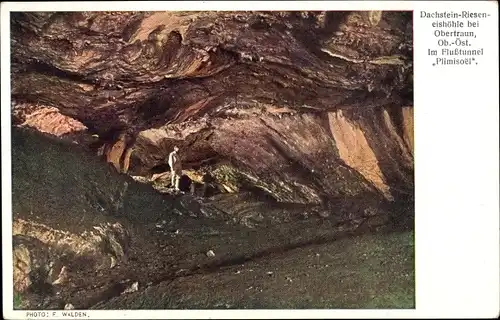 Ak Obertraun Oberösterreich, Dachstein Rieseneishöhle, Plimisoel