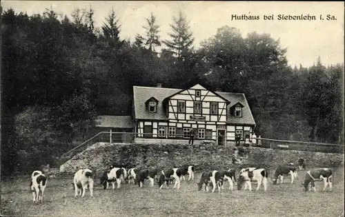 Ak Siebenlehn Großschirma im Kreis Mittelsachsen, Huthaus, weidende Kühe