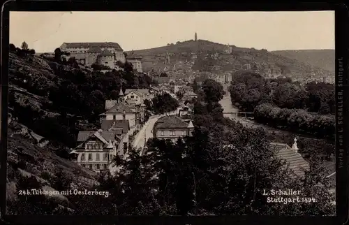 Kabinett Foto Tübingen am Neckar, Panorama mit Oesterberg, 1894