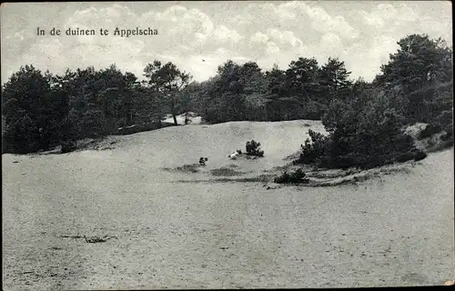 Ak Appelscha Fryslân Friesland Niederlande, in de duinen