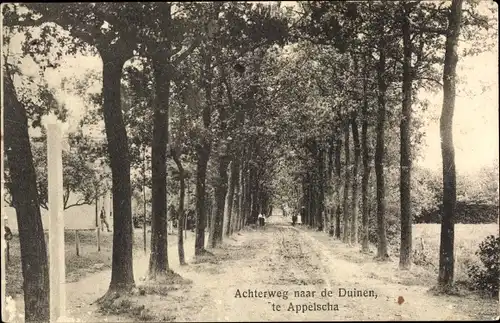 Ak Appelscha Fryslân Friesland Niederlande, Achterweg naar de Duinen