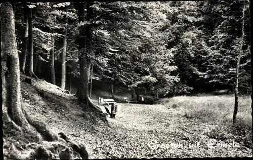 Ak Ermelo Gelderland, 't Solse Gat, Waldweg