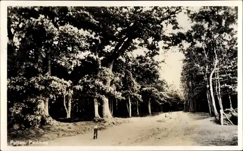 Ak Putten Gelderland, Postweg, Allee