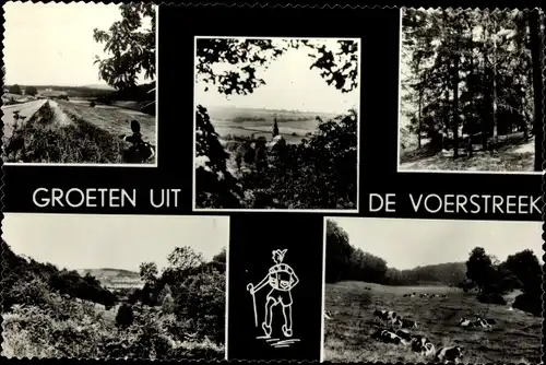 Ak Voeren Flandern Limburg, Voerstreek, Ortsansicht mit Kirche, Kühe auf Weide, Landschaftsmotive