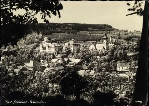 Ak Polanica Zdrój Bad Altheide Schlesien, Gesamtansicht