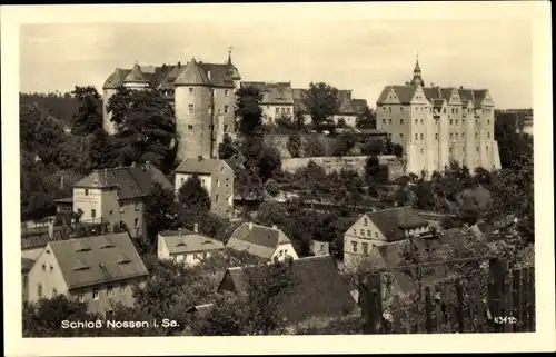 Ak Nossen in Sachsen, Schloss