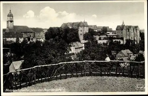 Ak Nossen in Sachsen, Blick von der Promenade auf die Stadt