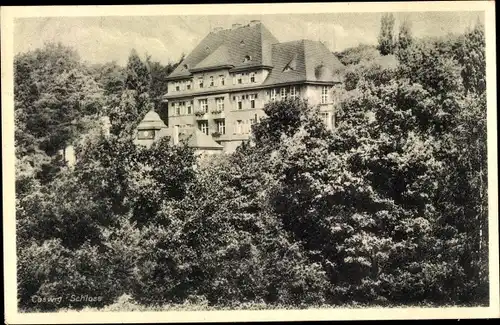 Ak Coswig in Sachsen, Blick zum Schloss