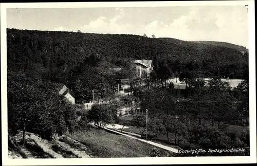 Ak Coswig in Sachsen, Spitzgrundmühle, Panorama