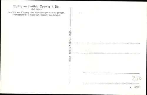 Ak Coswig in Sachsen, Spitzgrundmühle, Panorama