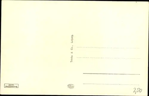 Ak Borna in Sachsen, Realgymnasium