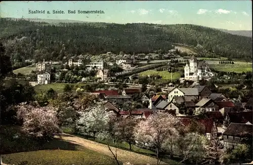 Ak Saalfeld an der Saale Thüringen, Bad Sommerstein, Panorama