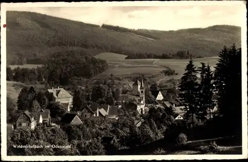 Ak Waldmichelbach Wald Michelbach im Odenwald Hessen, Teilansicht