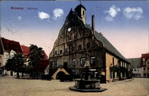 Ak Grimma in Sachsen, Rathaus, Brunnen