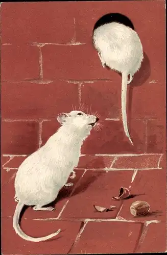 Präge Litho Zwei weiße Mäuse, Mäuseloch, Haselnuss