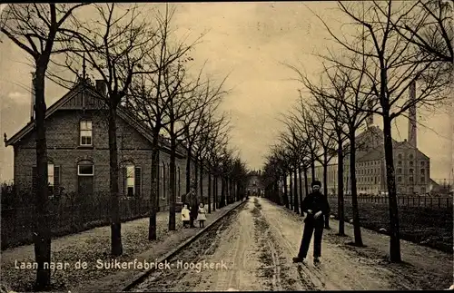 Ak Hoogkerk Groningen, Laan naar de Suikerfabriek