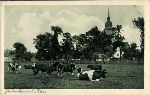 Ak Jahnishausen Riesa an der Elbe Sachsen, Kühe auf der Weide, Blick zur Kirche