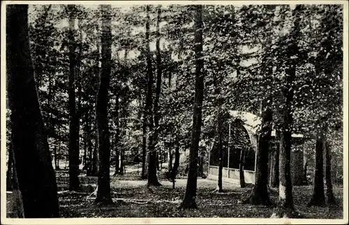 Ak Albersdorf Schleswig Holstein, Partie im Papenbusch mit Konzertpavillon