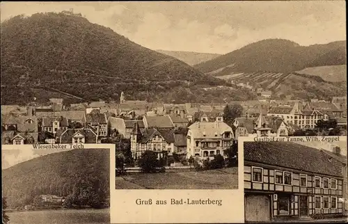 Ak Bad Lauterberg im Harz, Gasthof zur Tanne, Inh. Wilh. Zeppel, Panorama, Wiesenbeker Teich