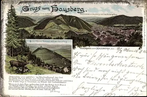 Litho Bad Lauterberg im Harz, Hausberg, Hirsche, Panorama