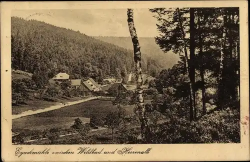 Ak Dobel im Schwarzwald, Eyachmühle, Wald