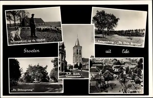 Ak Ede Gelderland Niederlande, Schaapskooi op de Ginkel, Langenberg, De Driesprong, Kerk, Panorama