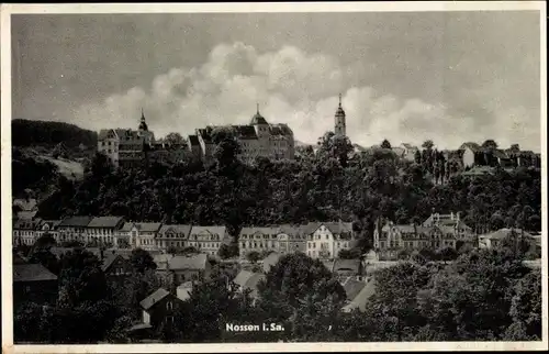 Ak Nossen i. Sa., Panorama mit Blick auf Kirche und Schloss