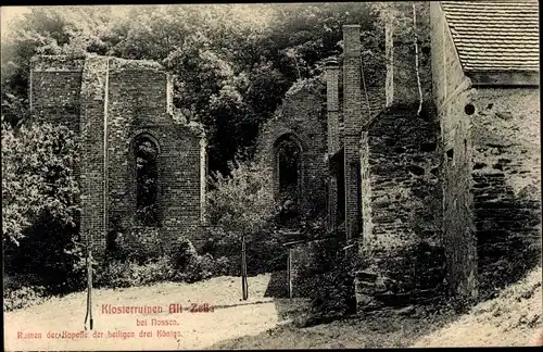 Ak Nossen Landkreis Meißen, Klosterruinen Altzella, Kapelle der hlg. 3 Könige