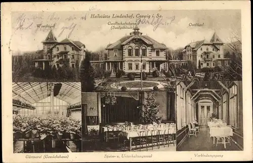 Ak Coswig Sachsen, Heilanstalt Lindenhof, Gärtnerei, Gewächshaus, Speise- und Unterhaltungssaal