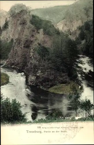 Ak Treseburg Thale im Harz, Partie an der Bode