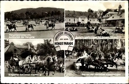 Ak Dillenburg in Hessen, Landgestüt und seine Parade, Hengstparade, römische Kampfwagen