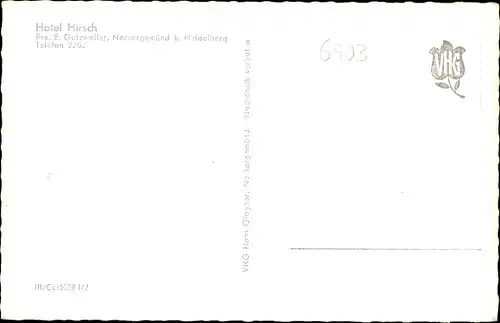 Ak Neckargemünd, Hotel Hirsch, Inh. E. Gatzweiler, Stadtansichten, Schiff