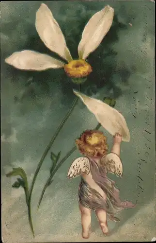 Präge Litho Engel, Weiße Blumen, Blumenblätter