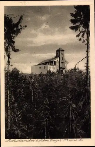 Ak Komáří hůrka Mückenberg im Erzgebirge Region Aussig, Mückentürmchen, Komáří Vizka