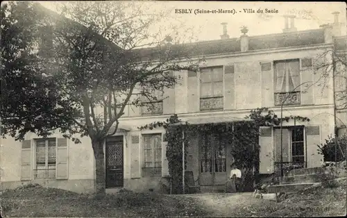 Ak Esbly Seine et Marne, Villa du Saule
