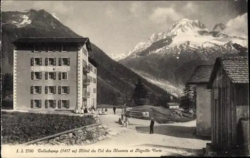 Ak Tréléchamp Haute Savoie, Hotel du Col des Montets et Aiguille Verte