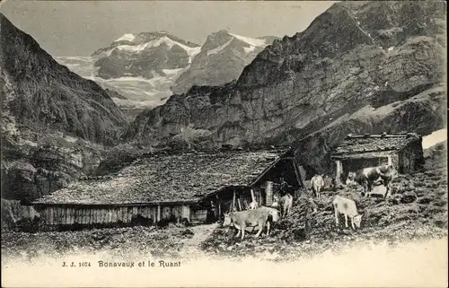 Ak Chamonix Mont Blanc Haute Savoie, Bonavaux et le Ruant