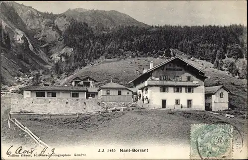 Ak Les Contamines Montjoie Haute Savoie, Nant Borrant
