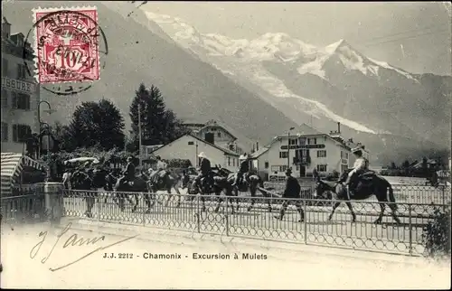 Ak Chamonix Mont Blanc Haute Savoie, Excursion a Mulets