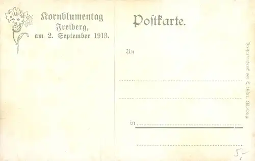 Künstler Ak Freiberg im Kreis Mittelsachsen, Aus der Sächsstadt, Teilansicht