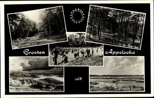 Ak Appelscha Fryslân Friesland Niederlande, Duinen, Grenspoel Duinen