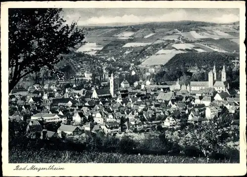 Ak Bad Mergentheim in Tauberfranken, Panorama