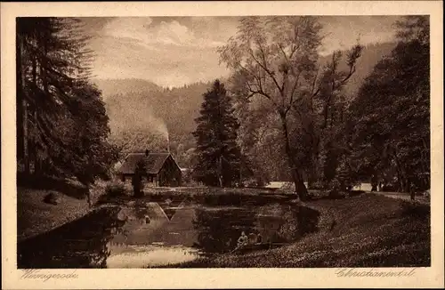 Ak Christianental Wernigerode im Harz, See, Haus